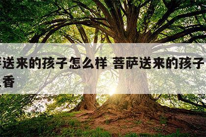 菩萨送来的孩子怎么样 菩萨送来的孩子怎么样上香