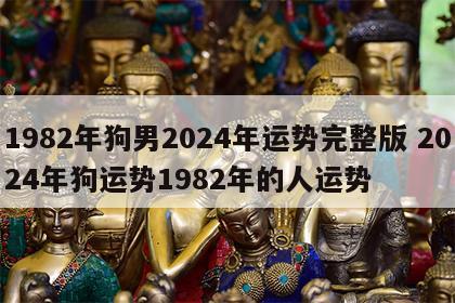 1982年狗男2024年运势完整版 2024年狗运势1982年的人运势