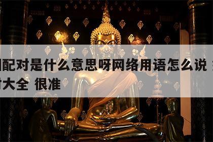 婚姻配对是什么意思呀网络用语怎么说 婚姻配对大全 很准
