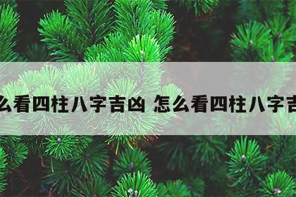 怎么看四柱八字吉凶 怎么看四柱八字吉凶