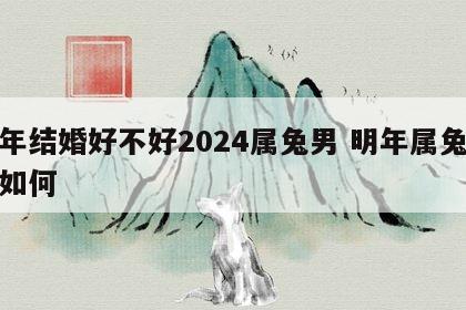 明年结婚好不好2024属兔男 明年属兔婚姻如何