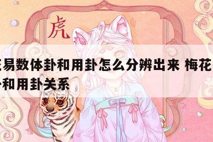 梅花易数体卦和用卦怎么分辨出来 梅花易数体卦和用卦关系