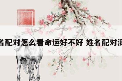 姓名配对怎么看命运好不好 姓名配对测算