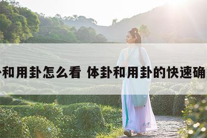 体卦和用卦怎么看 体卦和用卦的快速确定法