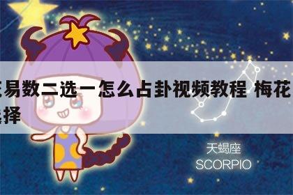 梅花易数二选一怎么占卦视频教程 梅花易数做选择