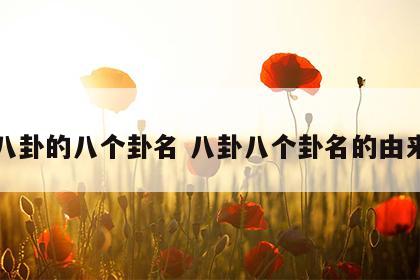 八卦的八个卦名 八卦八个卦名的由来