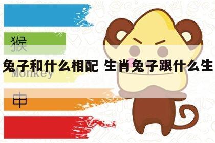 生肖兔子和什么相配 生肖兔子跟什么生肖最配