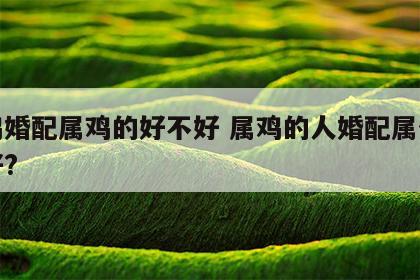 属鸡婚配属鸡的好不好 属鸡的人婚配属什么的好?