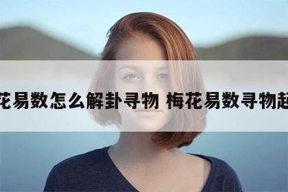 梅花易数怎么解卦寻物 梅花易数寻物起卦