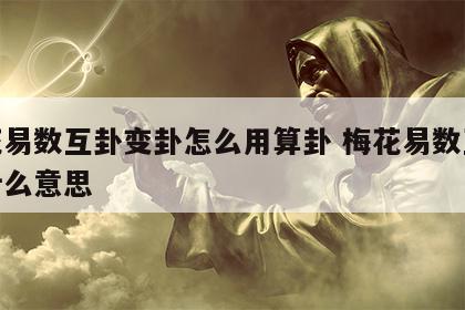 梅花易数互卦变卦怎么用算卦 梅花易数互卦是什么意思