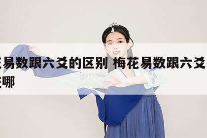 梅花易数跟六爻的区别 梅花易数跟六爻的区别在哪