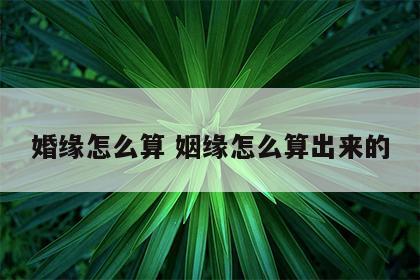 婚缘怎么算 姻缘怎么算出来的