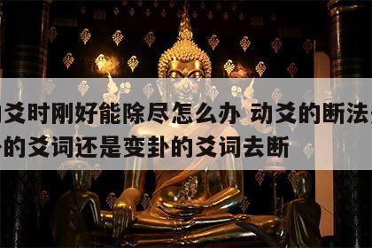 取动爻时刚好能除尽怎么办 动爻的断法是取本卦的爻词还是变卦的爻词去断