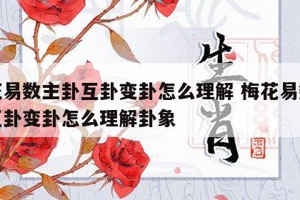 梅花易数主卦互卦变卦怎么理解 梅花易数主卦互卦变卦怎么理解卦象