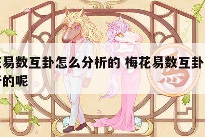 梅花易数互卦怎么分析的 梅花易数互卦怎么分析的呢