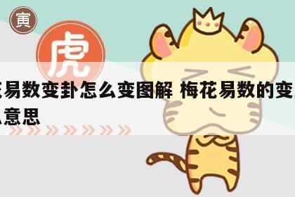 梅花易数变卦怎么变图解 梅花易数的变卦是什么意思