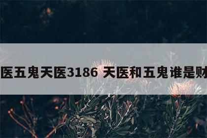 天医五鬼天医3186 天医和五鬼谁是财富