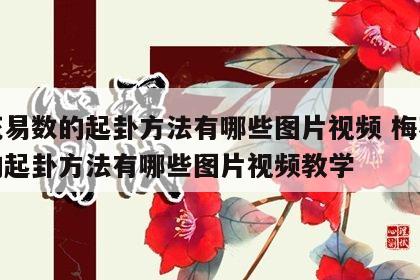 梅花易数的起卦方法有哪些图片视频 梅花易数的起卦方法有哪些图片视频教学