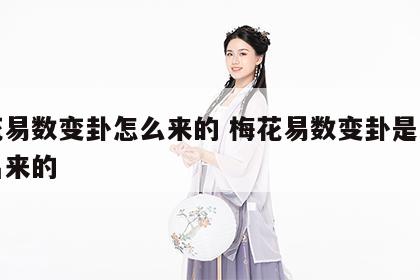 梅花易数变卦怎么来的 梅花易数变卦是怎样变出来的