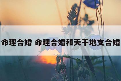 命理合婚 命理合婚和天干地支合婚