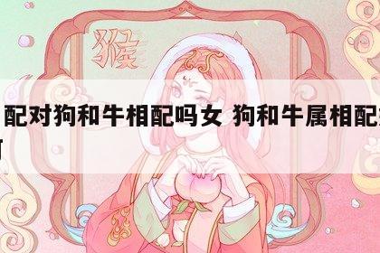 生肖配对狗和牛相配吗女 狗和牛属相配婚姻如何