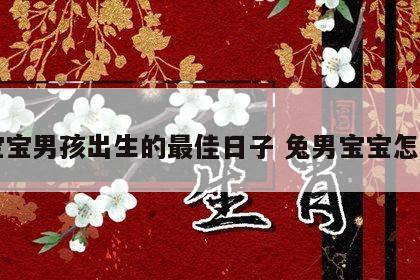 兔宝宝男孩出生的最佳日子 兔男宝宝怎么样