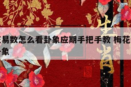 梅花易数怎么看卦象应期手把手教 梅花易数的卦象