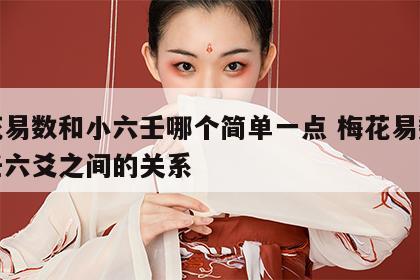 梅花易数和小六壬哪个简单一点 梅花易数和六壬六爻之间的关系