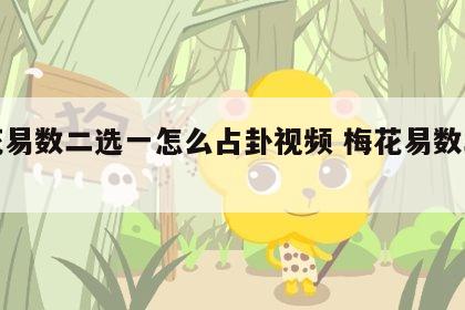 梅花易数二选一怎么占卦视频 梅花易数二爻动