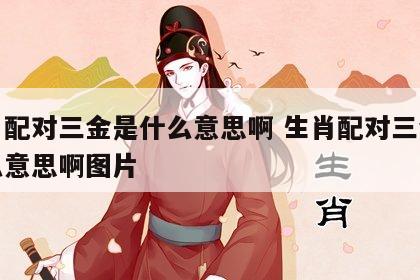 生肖配对三金是什么意思啊 生肖配对三金是什么意思啊图片