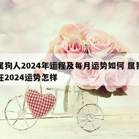 属狗人2024年运程及每月运势如何 属狗在2024运势怎样