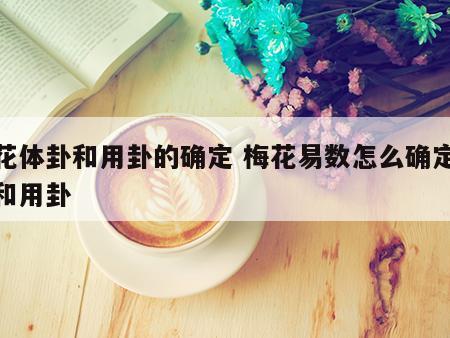 梅花体卦和用卦的确定 梅花易数怎么确定体卦和用卦