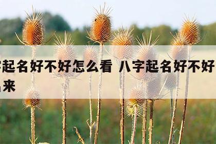 八字起名好不好怎么看 八字起名好不好怎么看出来