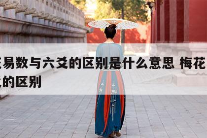 梅花易数与六爻的区别是什么意思 梅花易和六爻的区别