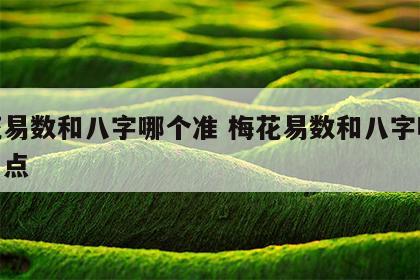 梅花易数和八字哪个准 梅花易数和八字哪个准一点