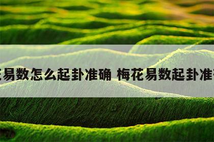梅花易数怎么起卦准确 梅花易数起卦准确率