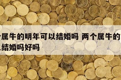 两个属牛的明年可以结婚吗 两个属牛的明年可以结婚吗好吗