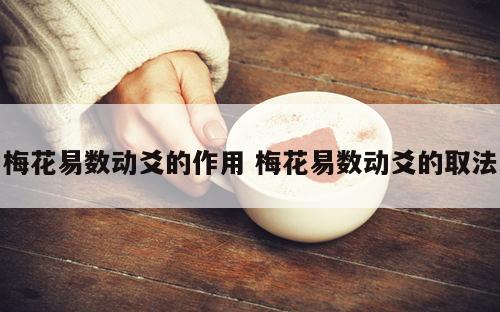 梅花易数动爻的作用 梅花易数动爻的取法