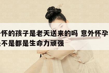 意外怀的孩子是老天送来的吗 意外怀孕的宝宝是不是都是生命力顽强
