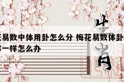 梅花易数中体用卦怎么分 梅花易数体卦和用卦都一样怎么办
