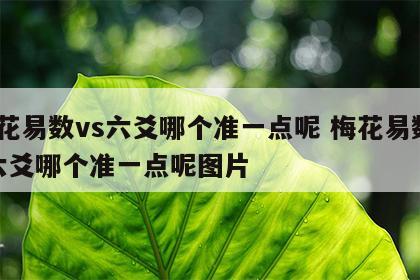梅花易数vs六爻哪个准一点呢 梅花易数vs六爻哪个准一点呢图片