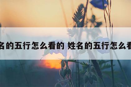 姓名的五行怎么看的 姓名的五行怎么看的