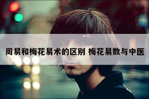周易和梅花易术的区别 梅花易数与中医