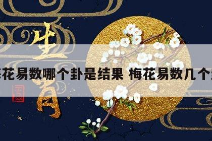 梅花易数哪个卦是结果 梅花易数几个卦