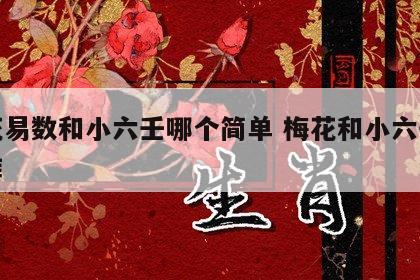 梅花易数和小六壬哪个简单 梅花和小六壬哪个准