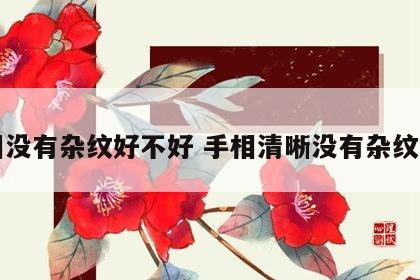 手相没有杂纹好不好 手相清晰没有杂纹好吗