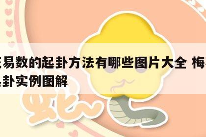 梅花易数的起卦方法有哪些图片大全 梅花易数起卦实例图解