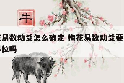 梅花易数动爻怎么确定 梅花易数动爻要看得不得位吗