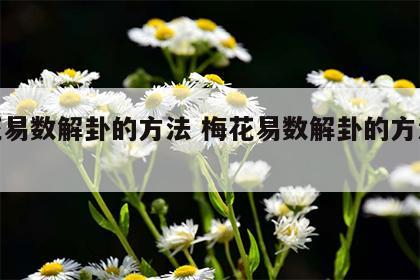 梅花易数解卦的方法 梅花易数解卦的方法大全