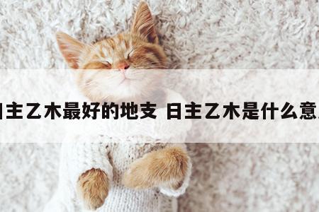 日主乙木最好的地支 日主乙木是什么意思